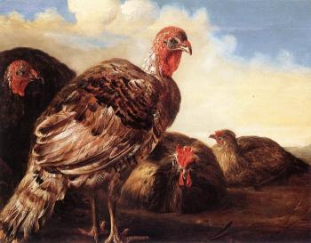 Aelbert Cuyp : Domestic Fowl